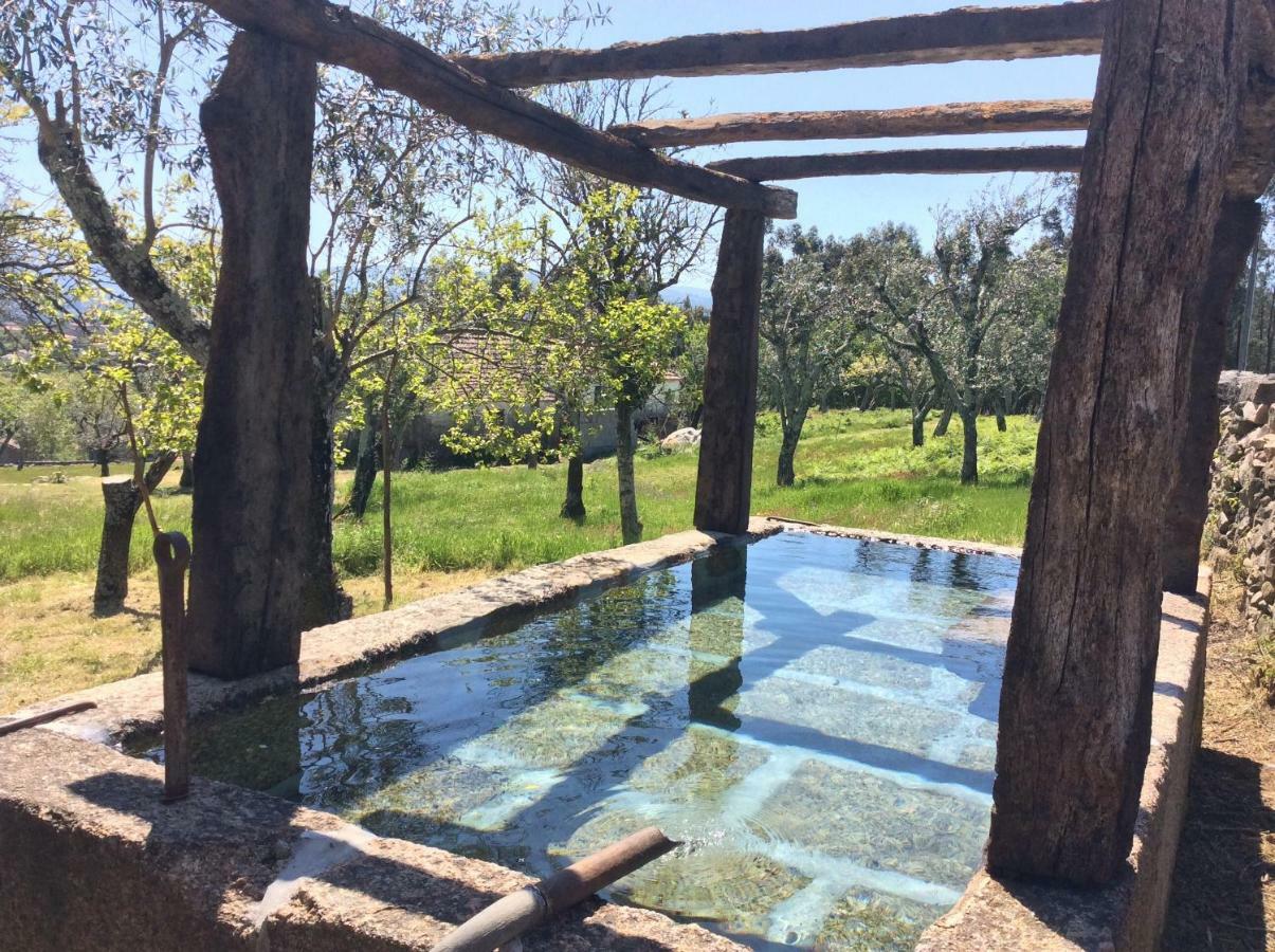Solar Da Motta Douro Boutique Home Ancede Buitenkant foto